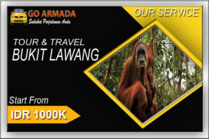 BUKIT LAWANG