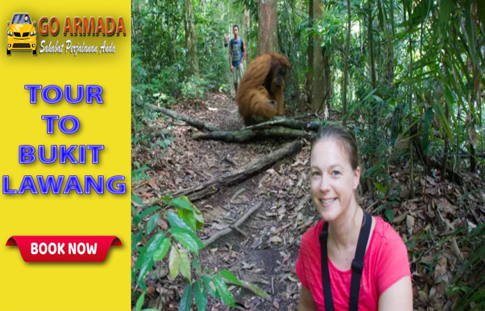 Go Armada Trakking Ke Taman Nasional Gunung Leuser