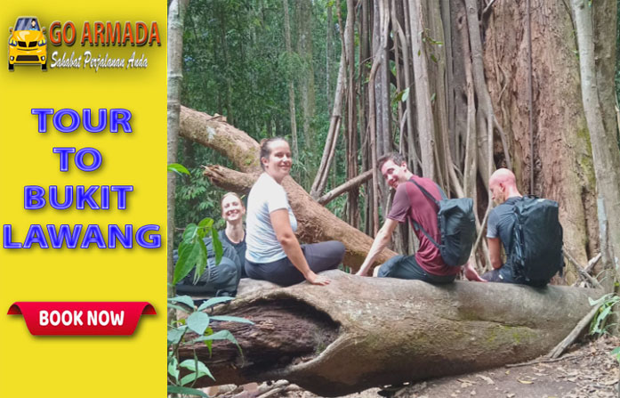 Go Armada Trakking Taman Nasional Gunung Leuser