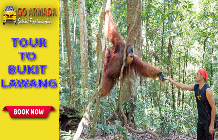 Go Armada Trakking Ke Taman Nasional Gunung Leuser