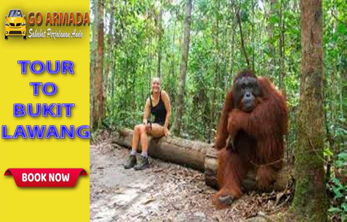 Go Armada Trakking Ke Taman Nasional Gunung Leuser