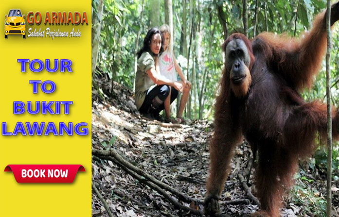 Go Armada Trakking Ke Taman Nasional Gunung Leuser