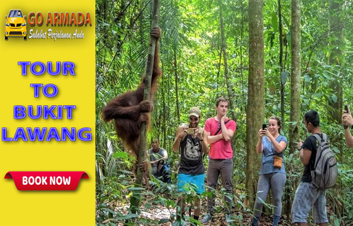 Go Armada Trakking Ke Taman Nasional Gunung Leuser