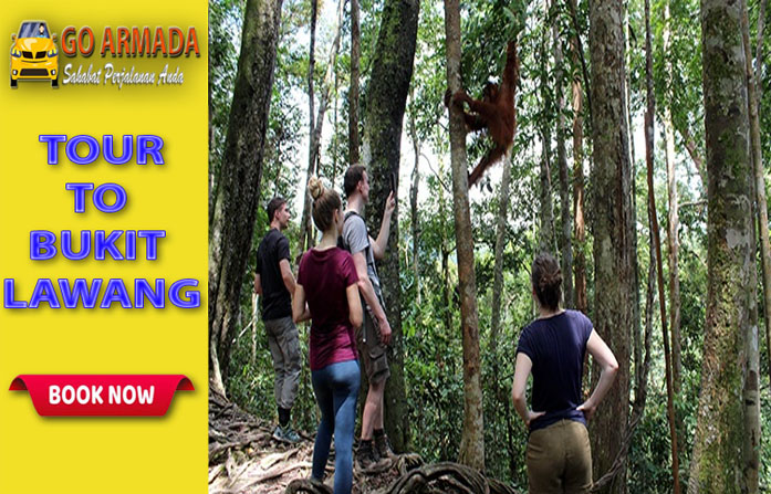 Go Armada Trakking Ke Taman Nasional Gunung Leuser